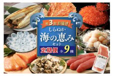 しらぬか海の恵みセット'24-'25【年3回定期便】