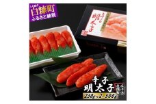 辛子明太子【500g（250g×2）】