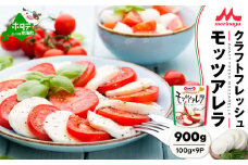 【森永乳業】モッツァレラチーズ 900g(100g×9P) 【NA0000002】（チーズ ちーず モッツァレラチーズ 乳製品 別海町 北海道 ふるさとチョイス ふるさと納税 仕組み キャンペーン 限度額 計算 ランキング やり方 シミュレーション チョイス チョイスマイル )