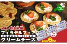 業務用　クラフトフィラデルフィア　クリームチーズ１ｋｇ×6（チーズ ちーず クリームチーズ 乳製品 別海町 北海道 ふるさとチョイス ふるさと納税 仕組み キャンペーン 限度額 計算 ランキング やり方 シミュレーション チョイス チョイスマイル )