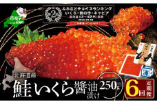 ランキング第2位獲得！希少ないくら！計1,5kg【250g×1パック 6回 お届け】 6ヵ月 定期便 漁協 直送！本場「北海道」 いくら 醤油漬け（ 定期便 海鮮 いくら イクラ 醤油漬け 鮭 北海道 定期便 海鮮 定期便 海鮮 定期便 海鮮 定期便 海鮮 定期便 海鮮 ふるさとチョイス ふるさと納税 ランキング キャンペーン やり方 限度額 仕組み シミュレーション ）