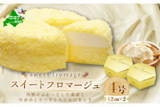 二層のチーズケーキスイート・フロマージュ　12cm×2台【MB0000002】（チーズ ちーず 乳製品 別海町 北海道 チーズケーキ スイーツ ふるさとチョイス ふるさと納税 仕組み キャンペーン 限度額 計算 ランキング やり方 シミュレーション チョイス チョイスマイル )