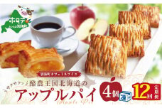 【定期便】酪農王国のアップルパイ　大きな３号サイズ（４個入）×１２ヵ月（ふるさと納税 アップルパイ ふるさと納税 パイ ふるさと納税 スイーツ 北海道 ふるさとのうぜい ふるさと お菓子 菓子 焼き菓子 焼菓子 あっぷるぱい ぱい すいーつ ふるさとチョイス ふるさと納税 仕組み キャンペーン 限度額 計算 ランキング やり方 シミュレーション チョイス チョイスマイル ）