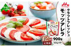 【12ヵ月定期便】【森永乳業】 モッツァレラチーズ 900g(100g×9P) × 12ヵ月【全12回 】【NAM120004】（中春別農協）（ふるさと納税 チーズ ちーず 乳製品 別海町 北海道  モッツァレラチーズ 定期便 12ヶ月 12ヵ月 12か月 12回 ふるさとチョイス ふるさと納税 仕組み キャンペーン 限度額 計算 ランキング やり方 シミュレーション チョイス チョイスマイル )
