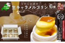 ランキング第2位獲得！【定期便】絶品 濃厚！生キャラメルプリン 6個入 × 2ヵ月【全2回】（ふるさと納税 プリン ぷりん 定期便 2ヶ月 2ヵ月 2か月 2回 ２ 2 北海道 牛乳 スイーツ 洋菓子 キャラメル 生キャラメル ランキング 人気 ふるさと ふるさとチョイス ふるさと納税 仕組み キャンペーン 限度額 計算 ランキング やり方 シミュレーション チョイス チョイスマイル ）