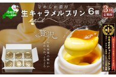 御礼！ランキング第1位獲得！【定期便】絶品 濃厚！生キャラメルプリン 6個入 × 3ヵ月【全3回】（ふるさと納税 プリン ぷりん 定期便 3ケ月 3カ月 3か月 北海道 牛乳 スイーツ 洋菓子 キャラメル 生キャラメル ランキング 人気 ふるさと ふるさとチョイス ふるさと納税 仕組み キャンペーン 限度額 計算 ランキング やり方 シミュレーション チョイス チョイスマイル ）
