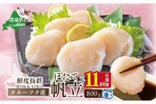 【毎月１１カ月定期便】オホーツク産ホタテ大 冷凍 800g（ふるさと納税 ほたて 大  ホタテ 貝柱  帆立  北海道 国産 送料無料 ふるさとチョイス ふるさと納税 仕組み キャンペーン 限度額 計算 ランキング やり方 シミュレーション チョイス チョイスマイル 定期便 海鮮  ）