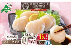 ランキング第2位獲得！【隔月６カ月定期便】オホーツク産ホタテ大 冷凍 800g（ふるさと納税 ほたて 大  ホタテ 貝柱  帆立  北海道 国産 送料無料 ふるさとチョイス ふるさと納税 仕組み キャンペーン 限度額 計算 ランキング やり方 シミュレーション チョイス チョイスマイル 定期便 海鮮 ）