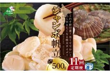 【毎月定期便】北海道 野付産 漁協直送 冷凍ホタテ 貝柱 ジャンボホタテ500g×11ヶ月（ ほたて ホタテ 帆立 貝柱 ホタテ貝柱 北海道 野付 大粒 ふるさとチョイス ふるさと納税 仕組み キャンペーン 限度額 計算 ランキング やり方 シミュレーション チョイス チョイスマイル 定期便 海鮮 ）