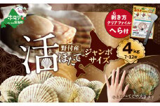 ジャンボ活ほたて 4kg相当 7～12枚入り＜朝どり新鮮出荷!＞( ふるさと納税 ほたて 大玉 生食 活きほたて 生ホタテ 生帆立 生ホタテ貝柱 帆立貝柱 天然 冷蔵 刺身用 生 )