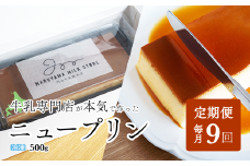 【定期便】濃厚プリン　New Pudding（ニュープディング）（500g×1本）×9ヶ月【be152-0931-100-9】(プリン 乳製品 スイーツ 北海道 別海町定期便 ９ヶ月 9ヵ月 ９か月 9回 ふるさとチョイス ふるさと納税 仕組み キャンペーン 限度額 計算 ランキング やり方 シミュレーション チョイス チョイスマイル )