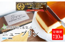 御礼！ランキング第1位獲得！ 【定期便】濃厚プリン　New Pudding（ニュープディング）（500g×1本）×10ヶ月【be152-0931-100-10】(プリン 乳製品 スイーツ 北海道 別海町定期便 １０ヶ月 10ヵ月 １０か月 10回 ふるさとチョイス ふるさと納税 仕組み キャンペーン 限度額 計算 ランキング やり方 シミュレーション チョイス チョイスマイル )