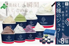 贅沢素材・8種のジェラート【EK0000002】（ ふるさとチョイス ふるさと納税 仕組み キャンペーン 限度額 計算 ランキング やり方 シミュレーション チョイス チョイスマイル ）