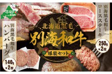 別海和牛 堪能セット ロースステーキ （250g×2）+ハンバーグ （140g×2）【FF0000014】（ ふるさとチョイス ふるさと納税 仕組み キャンペーン 限度額 計算 ランキング やり方 シミュレーション チョイス チョイスマイル  ）