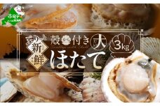 活ホタテ3kg【GY0000003】(漁師の台所　銀邑)
