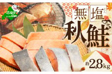 【訳あり】「秋鮭の切り身（無塩）」2.8kg 【BT000SG01】（ 鮭 鮭切身 鮭切り身 鮭の切り身 訳ありサケ 訳あり鮭 訳あり秋鮭 訳ありシャケ 訳あり ふるさとチョイス ふるさと納税 仕組み キャンペーン 限度額 計算 ランキング やり方 シミュレーション チョイス チョイスマイル ）