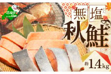 【訳あり】「秋鮭の切り身（無塩）」1.4kg 【BT000SF01】（ 鮭 鮭切身 鮭切り身 鮭の切り身 訳ありサケ 訳あり鮭 訳あり秋鮭 訳ありシャケ 訳あり ふるさとチョイス ふるさと納税 仕組み キャンペーン 限度額 計算 ランキング やり方 シミュレーション チョイス チョイスマイル ）