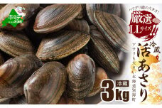 北海道 道東産  (活) アサリ中 3kg（北海道 あさり アサリ ふるさとチョイス ふるさと納税 仕組み キャンペーン 限度額 計算 ランキング やり方 シミュレーション チョイス チョイスマイル ）