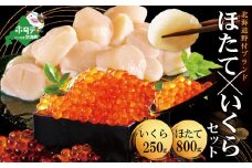 【10/1～寄付額改定】【海鮮福袋】いくら ホタテ 海鮮 セット ！ 北海道 帆立 800g（約80粒以上） & いくら 醤油漬け 250g（野付漁協）（ いくら イクラ ほたて ホタテ 海鮮 醤油  ふるさと納税 ランキング キャンペーン ふるさとチョイス キャンペーンふるさと納税 いくら・ほたて福袋 海鮮福袋 チョイス福袋 ）