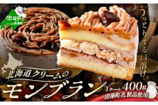 北海道 クリーム の モンブラン 400g × 1個 【CM0000005】