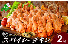  北海道 別海町 やみつき スパイシー チキン（手羽元）2kg【AJ0000160】（ ふるさとチョイス ふるさと納税 仕組み キャンペーン 限度額 計算 ランキング やり方 シミュレーション チョイス チョイスマイル 鶏肉 鳥肉 肉 にく チキン 惣菜 弁当 おかず お惣菜 お弁当 生活応援 ）