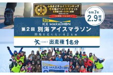 第3回別海アイスマラソン（4.2ｋｍ出走権1名分）（ 4.2km 出走権 1名分 ） マラソン出走権 マラソン フルマラソン マラソン大会 スポーツ 北海道 ICE MARATHON 冬 旅券 北海道別海町 （ ふるさと納税 マラソン フルマラソン ランニング 健康 体力 大会 北海道 別海町  別海 ）