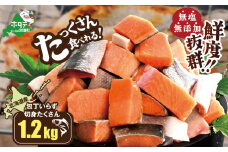 【内容量が選べる】北海道産 カット秋鮭 約 1.2kg （600g×2） 天然 無塩 訳あり サイズ不揃い【KT0000020】（ 鮭 海鮮 規格外 不揃い 鮭切身 冷凍 訳あり 鮭 切り身 さけ シャケ サケ 鮭 フレーク おかず 弁当 魚 わけあり 人気  訳アリ 別海町 ふるさとチョイス ふるさと納税 ランキング キャンペーン )