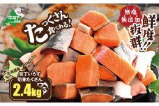【内容量が選べる】北海道産 カット秋鮭 約 2.4kg （600g×4） 天然 無塩 訳あり サイズ不揃い【KT0000021】（ 鮭 海鮮 規格外 不揃い 鮭切身 冷凍 訳あり 鮭 切り身 さけ シャケ サケ 鮭 フレーク おかず 弁当 魚 わけあり 人気  訳アリ 別海町 ふるさとチョイス ふるさと納税 ランキング キャンペーン )