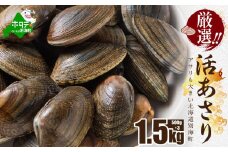 北海道 野付産 大粒 天然 活あさり 1.5kg前後【UY0000017】（株式会社 海好）（北海道 別海町 あさり アサリ 貝 大粒 ふるさと納税 ふるさとチョイス ふるさと納税 仕組み キャンペーン 限度額 計算 ランキング やり方 シミュレーション チョイス チョイスマイル ）
