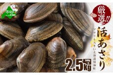 北海道 野付産 大粒 天然 活あさり 2.5kg前後【UY0000018】（株式会社 海好）（北海道 別海町 あさり アサリ 貝 大粒 ふるさと納税 ふるさとチョイス ふるさと納税 仕組み キャンペーン 限度額 計算 ランキング やり方 シミュレーション チョイス チョイスマイル ）