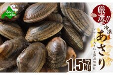 北海道 野付産 天然 冷凍あさり  1.5kg  (500g×3)【UY0000022】（株式会社 海好）（北海道 別海町 あさり アサリ 貝 ふるさと納税 ふるさとチョイス ふるさと納税 仕組み キャンペーン 限度額 計算 ランキング やり方 シミュレーション チョイス チョイスマイル ）