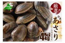 北海道 野付産 天然 冷凍あさり  4kg (500g×8)【UY0000021】（株式会社 海好）（北海道 別海町 あさり アサリ 貝 ふるさと納税 ふるさとチョイス ふるさと納税 仕組み キャンペーン 限度額 計算 ランキング やり方 シミュレーション チョイス チョイスマイル ）