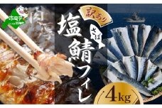 【先行予約】今秋以降発送予定　【訳あり】塩 サバ フィレ（ふるさと納税 鯖 ふるさと納税 サバ 塩鯖 塩サバ 魚 切り身 ふるさと納税 訳あり わけあり ふるさと おかず 惣菜 大容量 ） 北海道 別海町