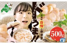 （10月）【訳あり】大人気 ！ホタテ 訳あり TVで話題 ほたて といえば 別海町 冷凍 帆立 大中粒 500g (約20玉前後)　（ ホタテ 帆立 貝柱 北海道 野付 別海町 訳ありホタテ 訳あり ふるさとチョイス ふるさと納税 仕組み キャンペーン 限度額 計算 ランキング やり方 シミュレーション チョイス チョイスマイル ）
