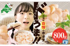 【訳あり】大人気 ！ホタテ 訳あり TVで話題 ほたて といえば 別海町 （10月）冷凍 帆立 大中粒 800g (約30-40玉)（ ホタテ 帆立 貝柱 北海道 野付 別海町 訳ありホタテ 訳あり ふるさとチョイス ふるさと納税 仕組み キャンペーン 限度額 計算 ランキング やり方 シミュレーション チョイス チョイスマイル ）