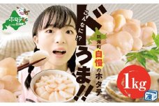 【訳あり】大人気 ！ホタテ 訳あり TVで話題 ほたて といえば 別海町 冷凍 帆立 小粒 1kg 約60-80玉入 （ ホタテ 帆立 貝柱 北海道 野付 別海町 訳ありホタテ 訳あり ふるさとチョイス ふるさと納税 仕組み キャンペーン 限度額 計算 ランキング やり方 シミュレーション チョイス チョイスマイル ）