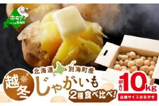 2026年3～4月発送 北海道別海町産 越冬じゃがいも10kg(２種おまかせ) 【JV0000004】 （きたあかり、ワセシロ、男爵、メークイーン、レッドムーン）