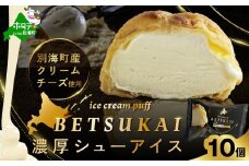 【10/1～寄付額改定】北海道 別海町 BETSUKAI 濃厚 シューアイス 10個 セット【NS0000015】（ ふるさと納税 シュークリーム ふるさと納税 シューアイス ふるさと納税 アイス 北海道 別海町 ふるさと納税 アイスクリーム ふるさと スイーツ お菓子 冷凍 北海道 BETSUKAI ）