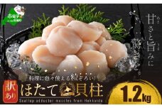 訳あり 北海道産 冷凍 ホタテ 計 1.2kg（ 400g × 3箱 ）(1月上旬)（ ほたて ホタテ 帆立 貝柱 ホタテ貝柱 ほたて貝柱 海鮮 刺身 訳ありホタテ 訳あり ふるさとチョイス ふるさと納税 仕組み キャンペーン 限度額 計算 ランキング やり方 シミュレーション チョイス チョイスマイル ）