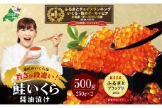 【10/1～寄付額改定】御礼！ランキング第１位獲得！ESSEふるさとグランプリ2022 総合グランプリ受賞！数量限定 北海道産・鮭いくら醤油漬け５００g（いくら イクラ 鮭いくら 鮭イクラ 醤油いくら 醤油イクラ いくら醤油漬け いくら醤油漬 イクラ醤油漬け イクラ醤油漬 国産いくら 北海道産いくら 道産いくら 冷凍いくら 冷凍イクラ ふるさとチョイス ふるさと納税 ランキング キャンペーン)