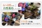 北海道中標津産 行者ニンニク4種セット