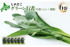 行者にんにく グリーン行者 葉部 6袋 オンライン 申請 ふるさと納税 北海道 中標津 行者ニンニク 幻の山菜 山菜 山の幸 野菜 疲労回復 健康効果 長寿 体力増強 ダイエット効果 焼肉 卵とじ トッピング おひたし おかず 冷凍 中標津町【20011】