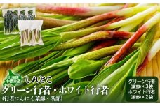 行者にんにく グリーン行者 葉部 3袋 ホワイト行者 茎部 2袋 計5袋 オンライン 申請 ふるさと納税 北海道 中標津 行者ニンニク 幻の山菜 山菜 山の幸 野菜 疲労回復 健康効果 長寿 体力増強 ダイエット 焼肉 炒め物 おかず 冷凍 中標津町【20010】