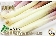 行者にんにく ホワイト行者 茎部 3袋 オンライン 申請 ふるさと納税 北海道 中標津 行者ニンニク 幻の山菜 山菜 山の幸 野菜 疲労回復 健康効果 長寿 体力増強 ダイエット効果 揚げ物 炒め物 醤油漬け おかず 冷凍 長期保存可能 中標津町【20012】