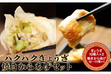 パクパクぎょうざ240gと焼きからあげ300gのセット　計540g【36001】