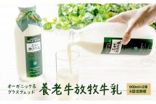 【定期便：全5回】オーガニック＆グラスフェッド養老牛放牧牛乳900ml×2本 | グラスフェッド 牛乳 牛乳瓶 有機JAS認証 低温殺菌 乳製品 健康志向 安心 安全 栄養豊富 化学肥料不使用 輸入穀物不使用 お取り寄せ 北海道 中標津町 中標津【1300501】