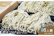 上原農場の無添加二八生そば×340g（6人前・そばつゆ付）【30004】