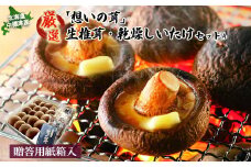 「想いの茸」生椎茸と乾燥椎茸セット 生椎茸8cm前後×20個 乾燥椎茸丸20g+スライス20g しいたけ シイタケ 椎茸 生しいたけ 生シイタケ 乾燥しいたけ 乾燥シイタケ 贈答用 ふるさと納税 北海道 中標津町 中標津【2900301】