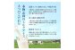 【無添加】北海道 アイスクリーム3種×62個（ミルク・紅茶・抹茶）とフローズンヨーグルト×10個セット