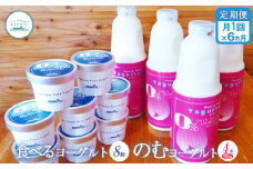 【定期便：全6回】 のむヨーグルト900ml×4本 食べるヨーグルト8個 のむヨーグルト ヨーグルト 乳製品 健康 善玉菌 整腸 無添加 定期便 6ヶ月 月1回 朝食 スイーツ ふるさと納税 北海道 中標津町 中標津【1110101】